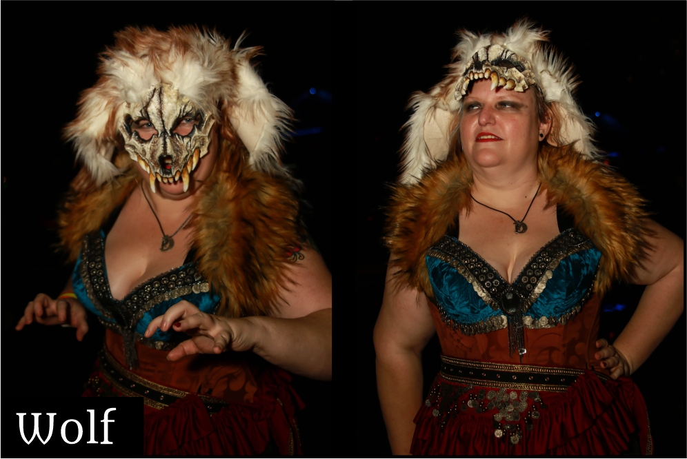 Wolf - Head Shot - Named